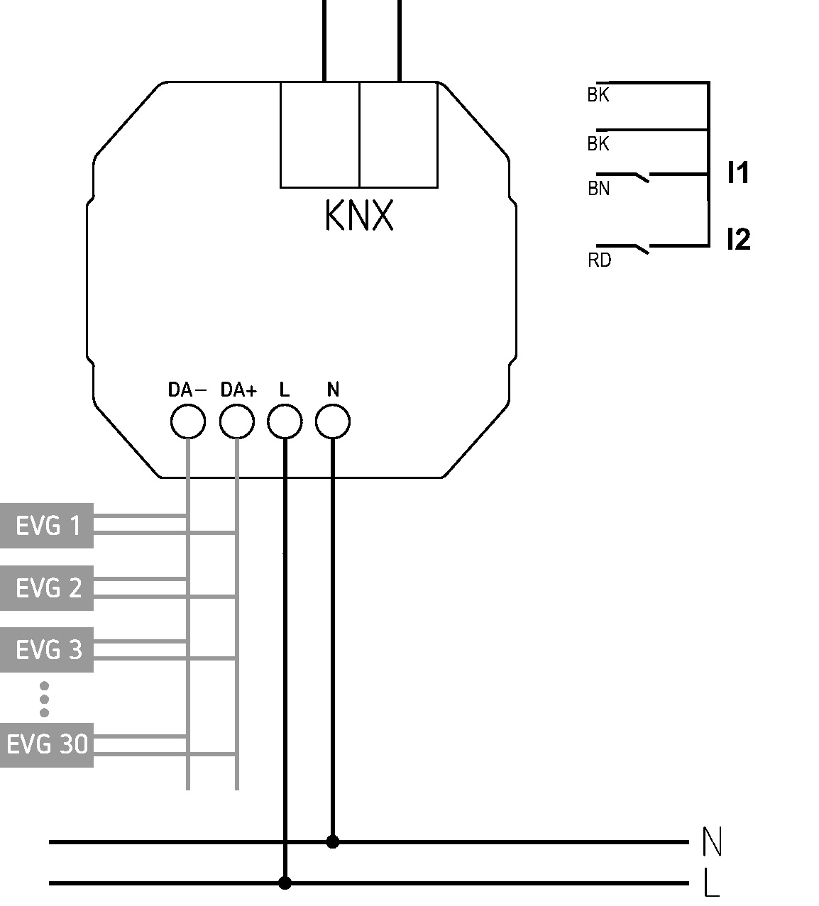 Theben DU 1 DALI KNX UP 1-fach DALI-Aktor (4942580) - Schaltbild